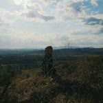 Gökçenur