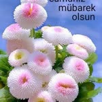 Özcan
