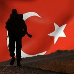Bir