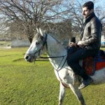 Amed