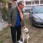 Mehmet
