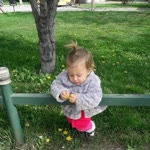 Olcay