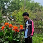 Aditya