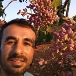 Tuncay