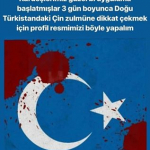 Çınar