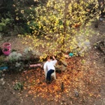 Gülriz