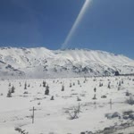 Dikran