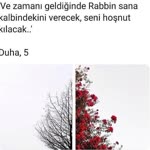 Alper