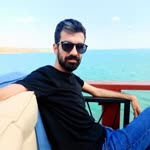 Şahin