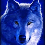 Kadir