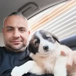 Serdar