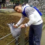 Rafet