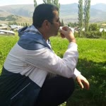 Soner