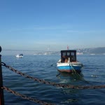 Murat