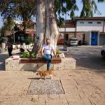 Alikemal