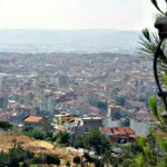 Faruk