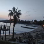 Havva