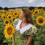 Melis