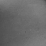 Onur