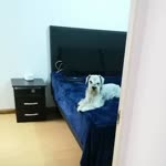 Brusko