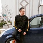 Şahin
