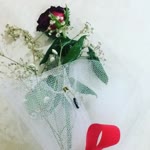 Elif