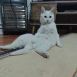 Ramazan