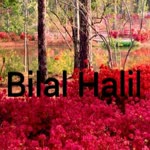 Bilal