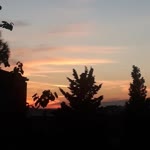 Havva