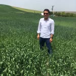 Erdem
