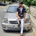 Doğan
