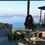 Arzu
