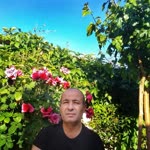 Deniz