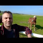 Onur