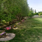 Fevzi