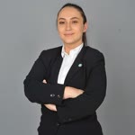 Neşe