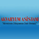 Akvaryum