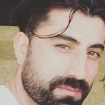 Şahin