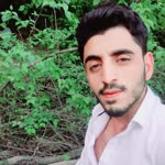 Şaban
