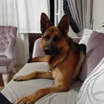 Turan