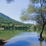 Andır