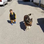 Halil