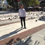 Halil