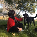 Şerife