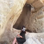 Duygu