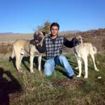 Mahmut