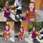 Merve
