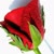 Yasemin