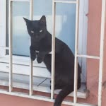Nona