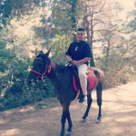 Murat